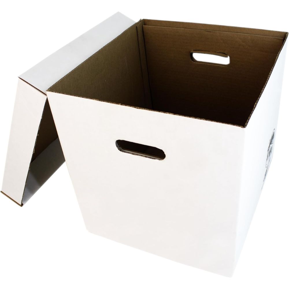 Set of 5 Heavy-Duty 12 Vinyl R - Archive Box Set ulasan dan harga