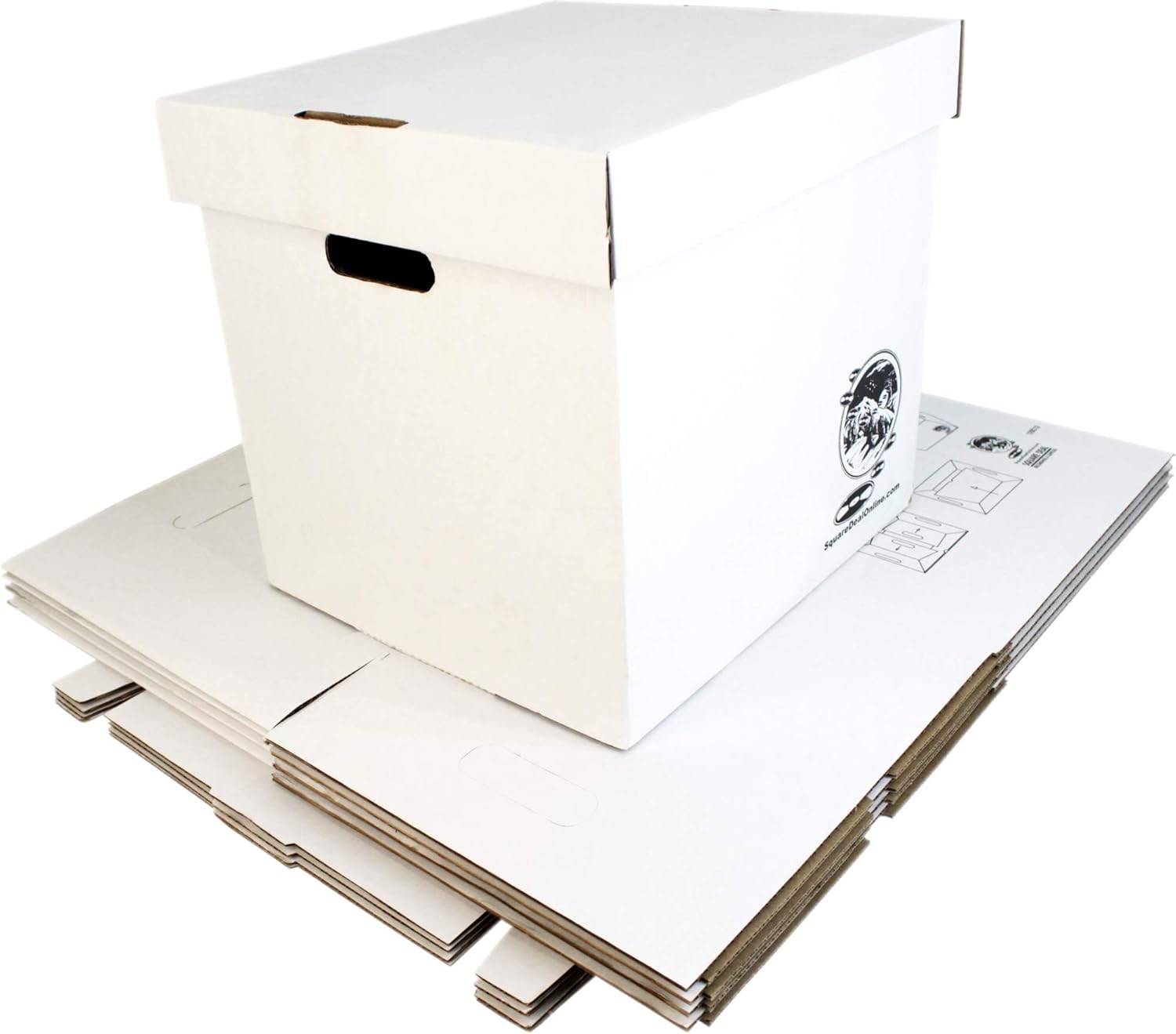 Set of 5 Heavy-Duty 12-Inch Vi - Archive Box Set ulasan dan harga